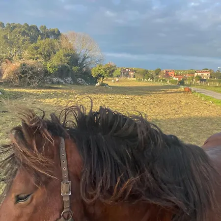 ホステル Eco-hostel La Casa ポオ・デ・リャネス