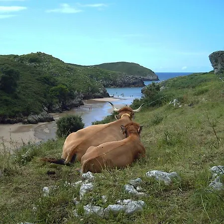 Vandrerhjem Eco-hostel La Casa Po de Llanes