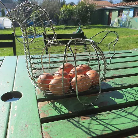 Eco-hostel La Casa *