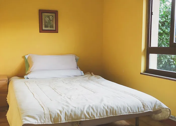 Eco-hostel La Casa Hostal *