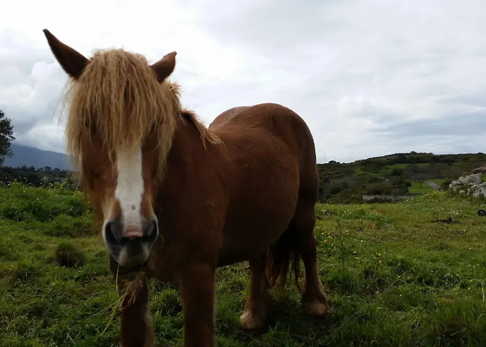 Eco-hostel La Casa Hostal Póo