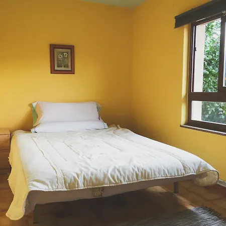 Eco-hostel La Casa Albergue *