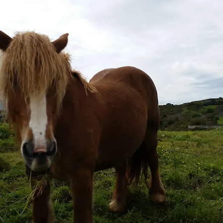 Eco-hostel La Casa Albergue Poo De Llanes