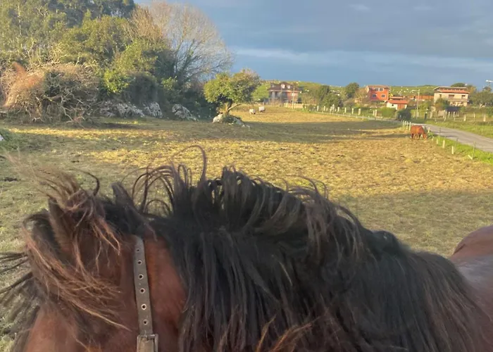 Hostal Eco-hostel La Casa Póo