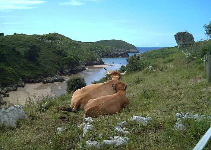 Hostal Eco-hostel La Casa Póo