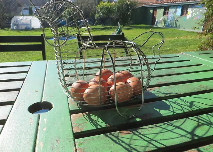 Eco-hostel La Casa *